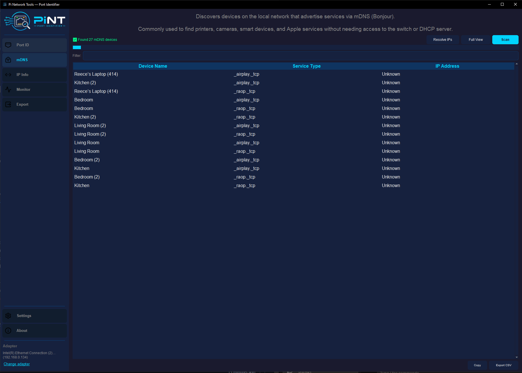 PiNT Desktop — mDNS browser tab